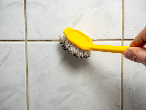 Reliable Long Beach, NY Mold Removal Solutions