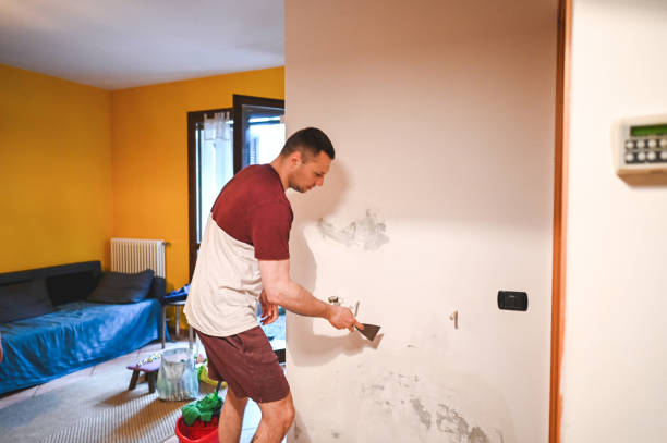 Best Mold Damage Repair  in Long Beach, NY